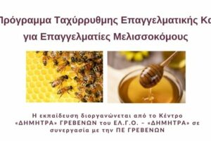 Δωρεάν Πρόγραμμα Ταχύρρυθμης Επαγγελματικής Κατάρτισης για επαγγελματίες Μελισσοκόμους