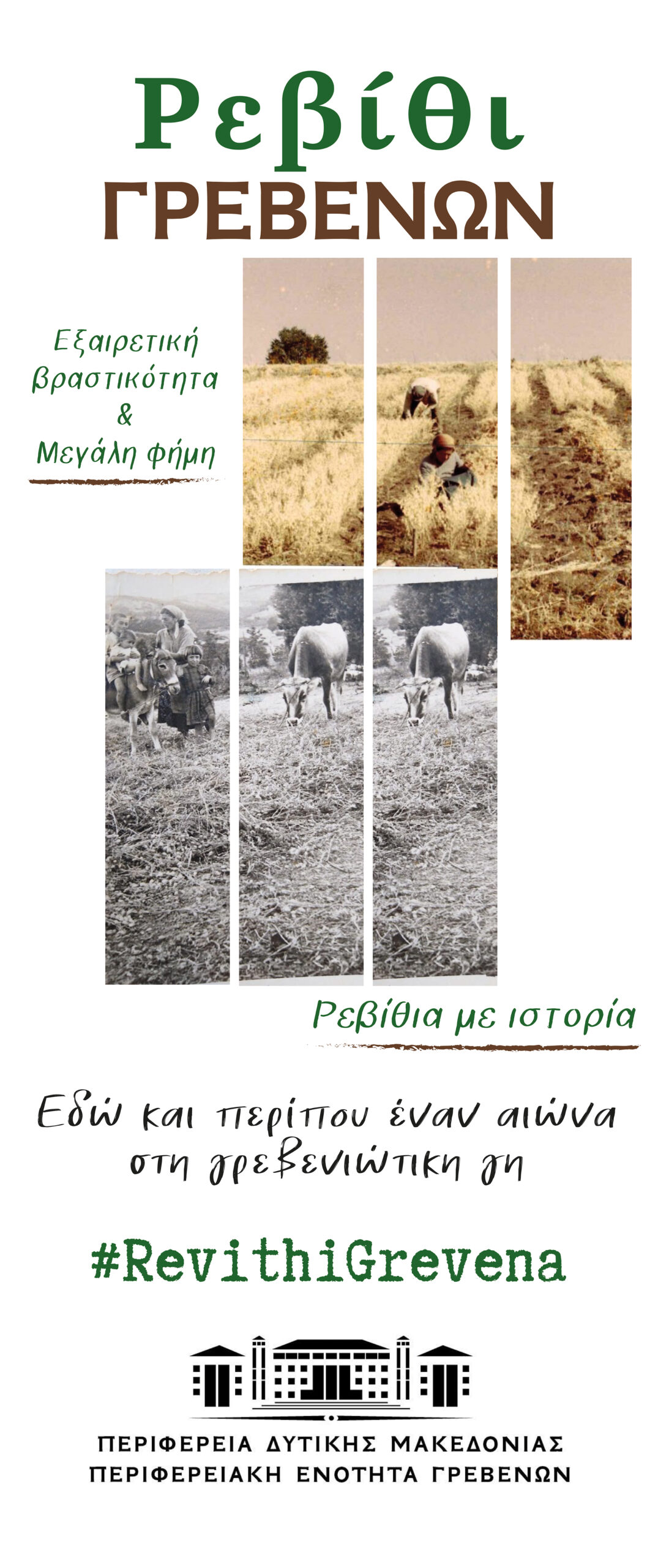Αφίσα - Ενίσχυση φήμης Ρεβιθιού Γρεβενών
