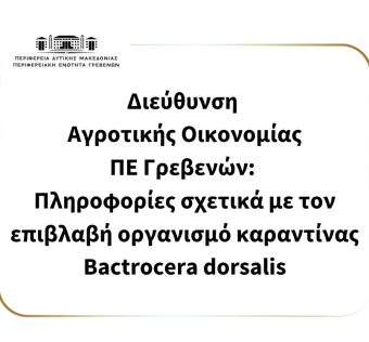 Bactrocera dorsalis