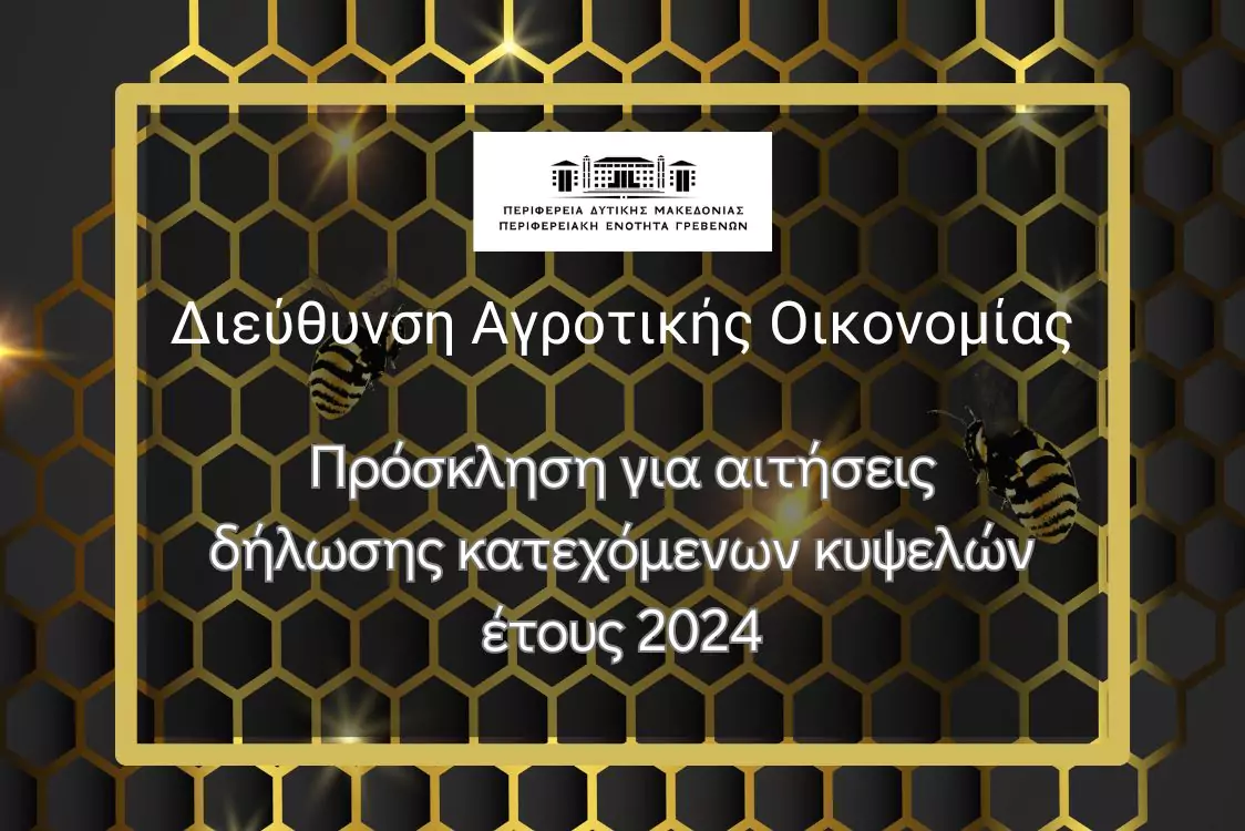 Υποβολή δήλωσης κατεχόμων κυψελών έτους 2024