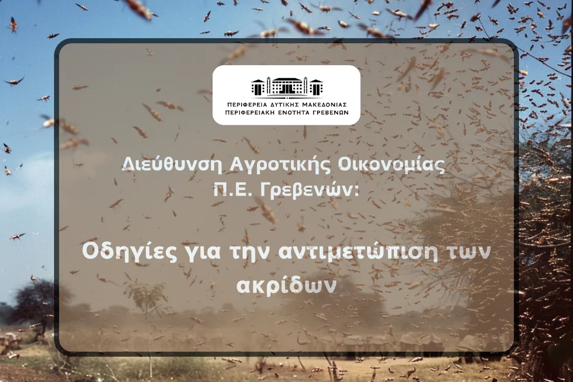 Εικόνα με ακρίδες που επιτίθενται σε ένα χωράφι συνοδευόμενη από το κείμενο: Διεύθυνση Αγροτικής Οικονομίας Π.Ε. Γρεβενών, Οδηγίες για την αντιμετώπιση των ακρίδων