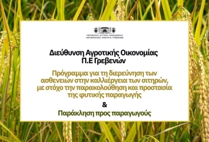 πρόγραμμα για σιτηρά