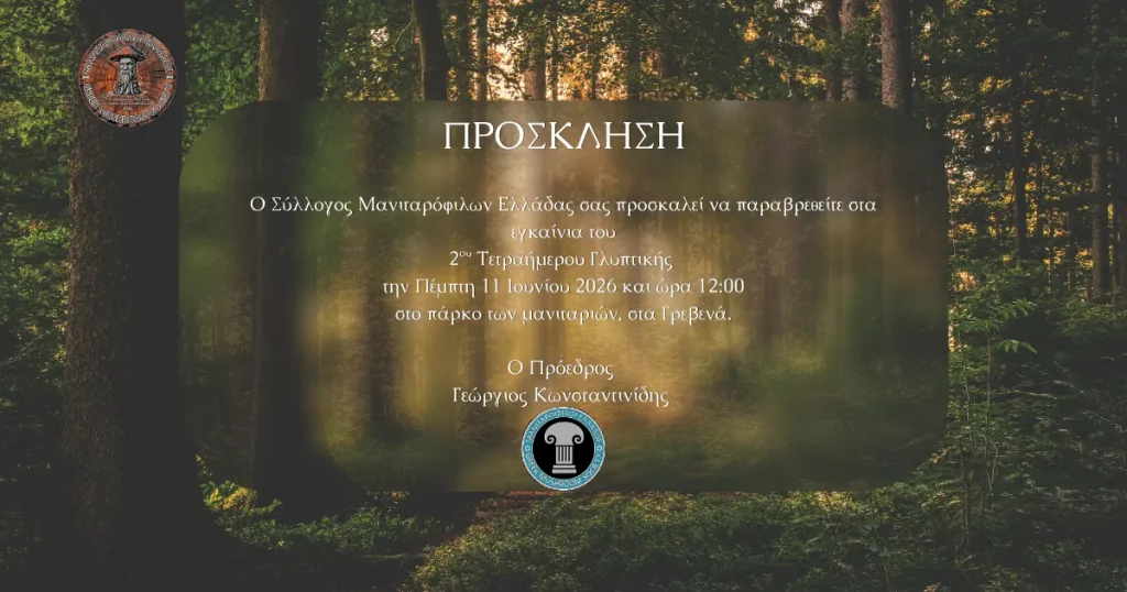 2ο Τετραήμερο Γλυπτικής στο Πάρκο των Μανιταριών